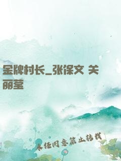 金牌村长